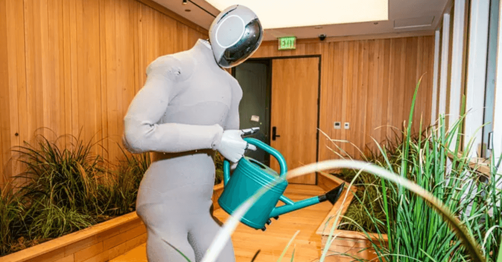 NEO humanoid robot home chores