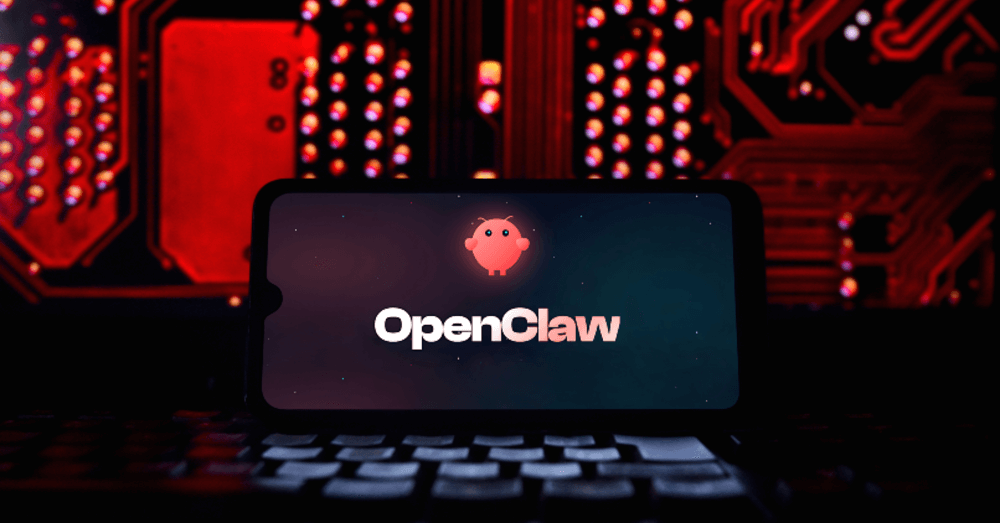 OpenClaw security risks